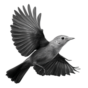 Nightingale In-Flight Vinyl Car Decal Sticker – Waterproof & UV-Resistant 3.4133333333333336" Nightingale In-Flight Vinyl Car Decal Sticker – Waterproof & UV-Resistant 3.4133333333333336"