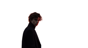 Timothée Chalamet Aflame Vinyl Car Decal Sticker – Waterproof & UV-Resistant 2.72"