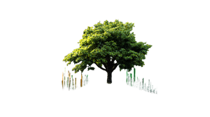 Digital Growth Tree Vinyl Car Decal Sticker – Waterproof & UV-Resistant 5.4 Digital Growth Tree Vinyl Car Decal Sticker – Waterproof & UV-Resistant 5.4