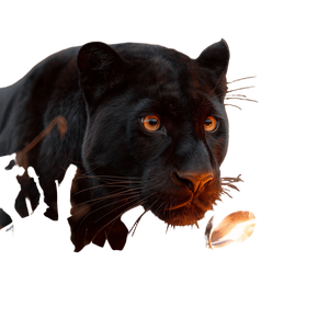 Black Panther Ignites Vinyl Car Decal Sticker – Waterproof & UV-Resistant 3.4133333333333336"