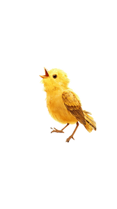 Singing Baby Bird Vinyl Car Decal Sticker – Waterproof & UV-Resistant 9.706666666666667"
