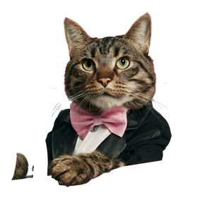 Tuxedo Cat Driver Vinyl Car Decal Sticker – Waterproof & UV-Resistant 3.4133333333333336" Tuxedo Cat Driver Vinyl Car Decal Sticker – Waterproof & UV-Resistant 3.4133333333333336"