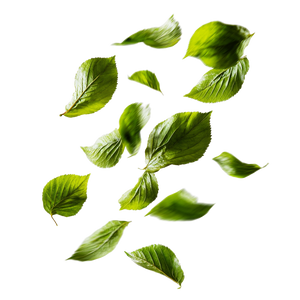 Flying Green Leaves Vinyl Car Decal Sticker – Waterproof & UV-Resistant 3.4133333333333336"