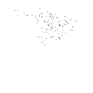 Birds In Flight V6 Vinyl Car Decal Sticker – Waterproof & UV-Resistant 3.4133333333333336"