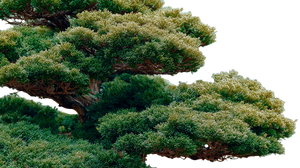 Spring Bonsai Forest Vinyl Car Decal Sticker – Waterproof & UV-Resistant 5.4