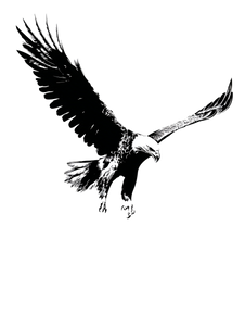 Eagle Vs Drone Vinyl Car Decal Sticker – Waterproof & UV-Resistant 8.213333333333333"