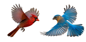 Birds In Flight V8 Vinyl Car Decal Sticker – Waterproof & UV-Resistant 2.56"