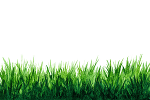Green Grass V2 Vinyl Car Decal Sticker – Waterproof & UV-Resistant 2.986666666666667"