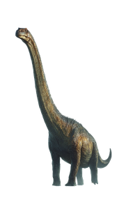 Lufengosaurus Huenei Play Vinyl Car Decal Sticker – Waterproof & UV-Resistant 4.8533333333333335"