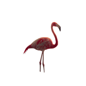Moonlit Flamingo V2 Vinyl Car Decal Sticker – Waterproof & UV-Resistant 6.826666666666667"
