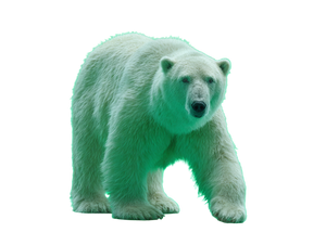 Green Polar Bear Vinyl Car Decal Sticker – Waterproof & UV-Resistant 6.1866666666666665"