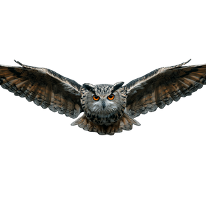 Eagle Owl Logo Vinyl Car Decal Sticker – Waterproof & UV-Resistant 3.4133333333333336" Eagle Owl Logo Vinyl Car Decal Sticker – Waterproof & UV-Resistant 3.4133333333333336"