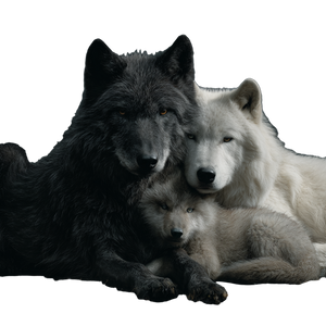 Wolf Family Cuddle Vinyl Car Decal Sticker – Waterproof & UV-Resistant 6.826666666666667"