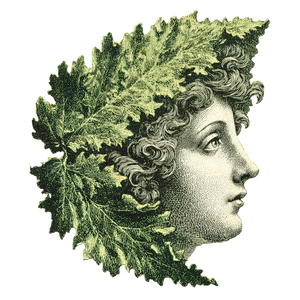 Wine Leaf Woman Vinyl Car Decal Sticker – Waterproof & UV-Resistant 3.4133333333333336"