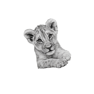 Lion Cub Tattoo Vinyl Car Decal Sticker – Waterproof & UV-Resistant 3.4133333333333336"