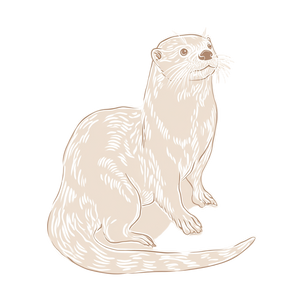 Matisse Otter Vinyl Car Decal Sticker – Waterproof & UV-Resistant 3.4133333333333336"