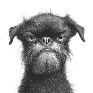 Annoyed Funny Dog Vinyl Car Decal Sticker – Waterproof & UV-Resistant 3.4133333333333336" Annoyed Funny Dog Vinyl Car Decal Sticker – Waterproof & UV-Resistant 3.4133333333333336"