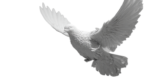Flying Pigeon Art Vinyl Car Decal Sticker – Waterproof & UV-Resistant 2.72"