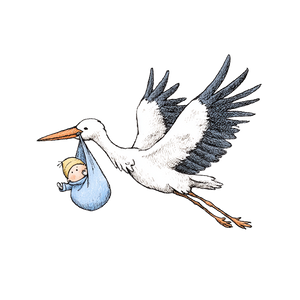 Flying Stork Delivery V2 Vinyl Car Decal Sticker – Waterproof & UV-Resistant 3.4133333333333336"