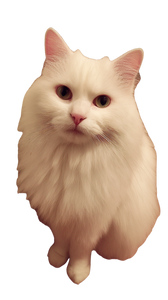 White Fluffy Cat Vinyl Car Decal Sticker – Waterproof & UV-Resistant 4.8533333333333335"