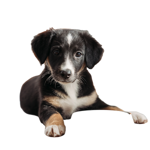 Puppy With Bowl Vinyl Car Decal Sticker – Waterproof & UV-Resistant 3.4133333333333336"