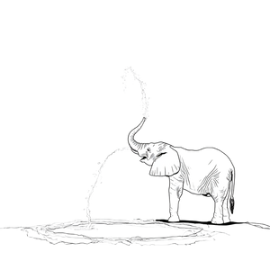 Playful Elephant Spray Vinyl Car Decal Sticker – Waterproof & UV-Resistant 3.4133333333333336"