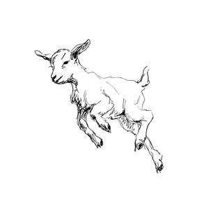 Playful Baby Goat Vinyl Car Decal Sticker – Waterproof & UV-Resistant 6.826666666666667"