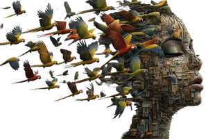 Parrot Portrait Vinyl Car Decal Sticker – Waterproof & UV-Resistant 2.986666666666667"