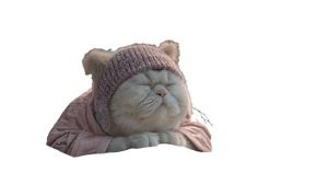 Sleeping Cat In Pajamas Vinyl Car Decal Sticker – Waterproof & UV-Resistant 2.72"