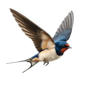 Realistic Swallow Flying Vinyl Car Decal Sticker – Waterproof & UV-Resistant 3.4133333333333336"