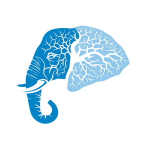 Memory Elephant Logo Vinyl Car Decal Sticker – Waterproof & UV-Resistant 3.4133333333333336"