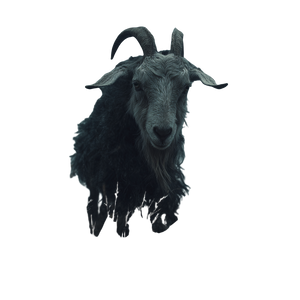 Necromancer Goat Vinyl Car Decal Sticker – Waterproof & UV-Resistant 3.4133333333333336"
