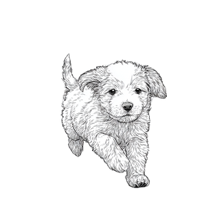 Beach Running Dog V3 Vinyl Car Decal Sticker – Waterproof & UV-Resistant 3.4133333333333336"