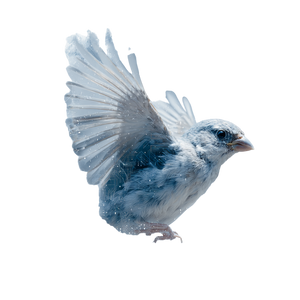 Nightingale Cloud Logo Vinyl Car Decal Sticker – Waterproof & UV-Resistant 3.4133333333333336"
