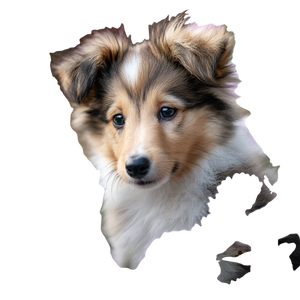 Sheltie In Flowers Vinyl Car Decal Sticker – Waterproof & UV-Resistant 3.4133333333333336" Sheltie In Flowers Vinyl Car Decal Sticker – Waterproof & UV-Resistant 3.4133333333333336"