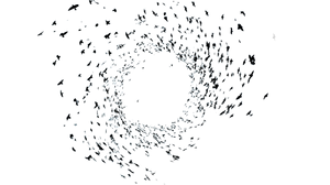 Swirling Birds Vinyl Car Decal Sticker – Waterproof & UV-Resistant 5.4