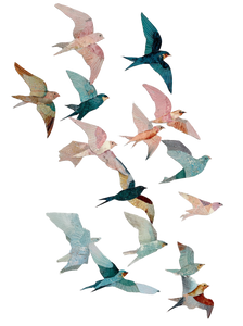 Birds In Flight V7 Vinyl Car Decal Sticker – Waterproof & UV-Resistant 4.213333333333333" Birds In Flight V7 Vinyl Car Decal Sticker – Waterproof & UV-Resistant 4.213333333333333"