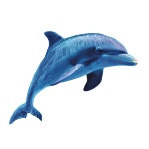 Stylized Dolphin Illustration Vinyl Car Decal Sticker – Waterproof & UV-Resistant 3.4133333333333336"