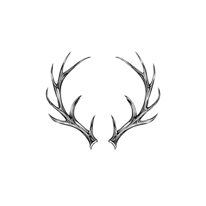 Delicate Deer Antlers Vinyl Car Decal Sticker – Waterproof & UV-Resistant 3.4133333333333336"