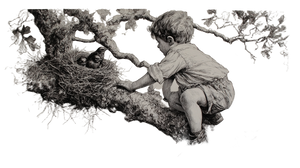Boy In Tree V2 Vinyl Car Decal Sticker – Waterproof & UV-Resistant 5.4
