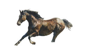 Graceful Horse Motion Vinyl Car Decal Sticker – Waterproof & UV-Resistant 2.8266666666666667"