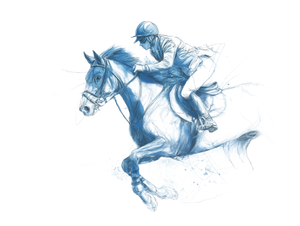 Derby Rider V2 Vinyl Car Decal Sticker – Waterproof & UV-Resistant 6.1866666666666665"