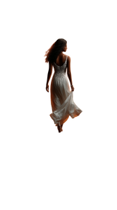 Bride At Sunrise Vinyl Car Decal Sticker – Waterproof & UV-Resistant 4.8533333333333335"