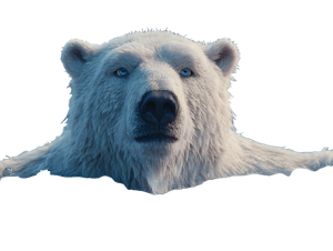 Chill Polar Bear Vinyl Car Decal Sticker – Waterproof & UV-Resistant 6.1866666666666665"