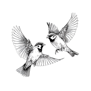 Dancing Sparrows Vinyl Car Decal Sticker – Waterproof & UV-Resistant 3.4133333333333336"