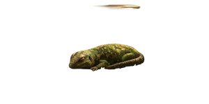 Sleeping Lizard Vinyl Car Decal Sticker – Waterproof & UV-Resistant 5.12" Sleeping Lizard Vinyl Car Decal Sticker – Waterproof & UV-Resistant 5.12"