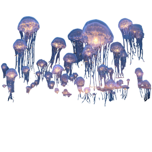 Glowing Jellyfish Beings Vinyl Car Decal Sticker – Waterproof & UV-Resistant 6.826666666666667"