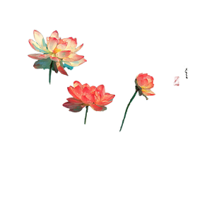 Summer Lotus Bloom Vinyl Car Decal Sticker – Waterproof & UV-Resistant 3.4133333333333336"