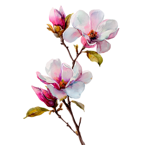 Watercolor Magnolia Vinyl Car Decal Sticker – Waterproof & UV-Resistant 6.826666666666667"