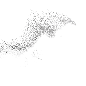 Starlings In Flight Vinyl Car Decal Sticker – Waterproof & UV-Resistant 3.4133333333333336"